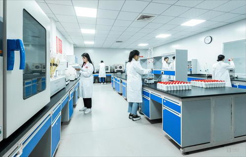 白酒科技如何赋能微生物 从茅台镇国台酒的现代化实践看生物技术服务新路径