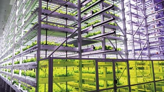 中国式现代化之路 生物技术开发服务的崛起与前景